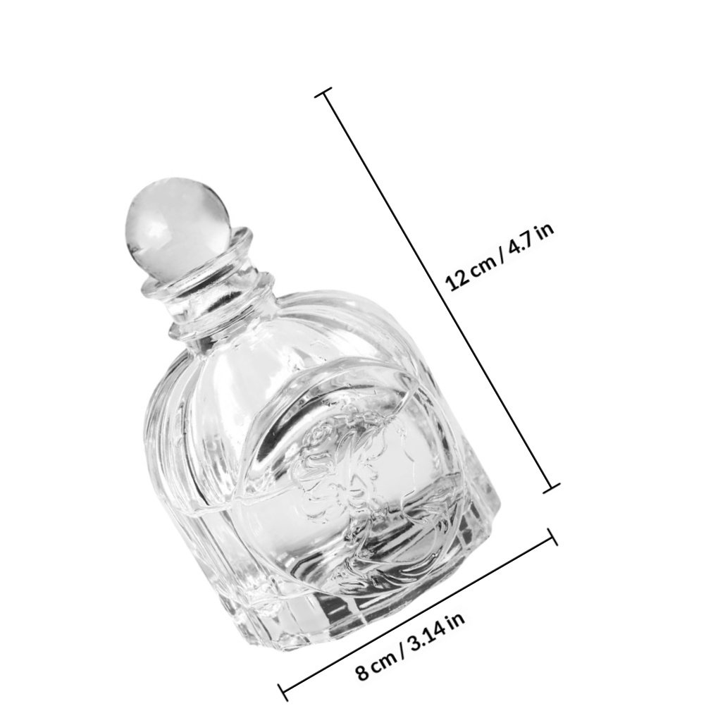 5 juegos de botellas de fragan - Fragrance Perfume Car reseña y precio