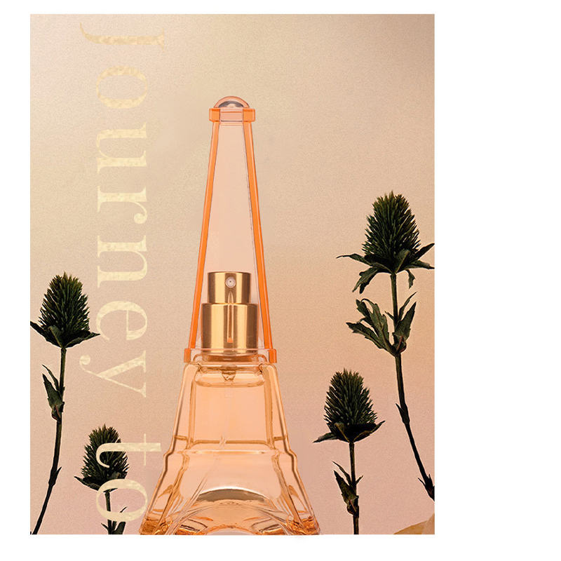 Mujer romántica Torre De París - Perfume Fragrance Paris reseña y precio